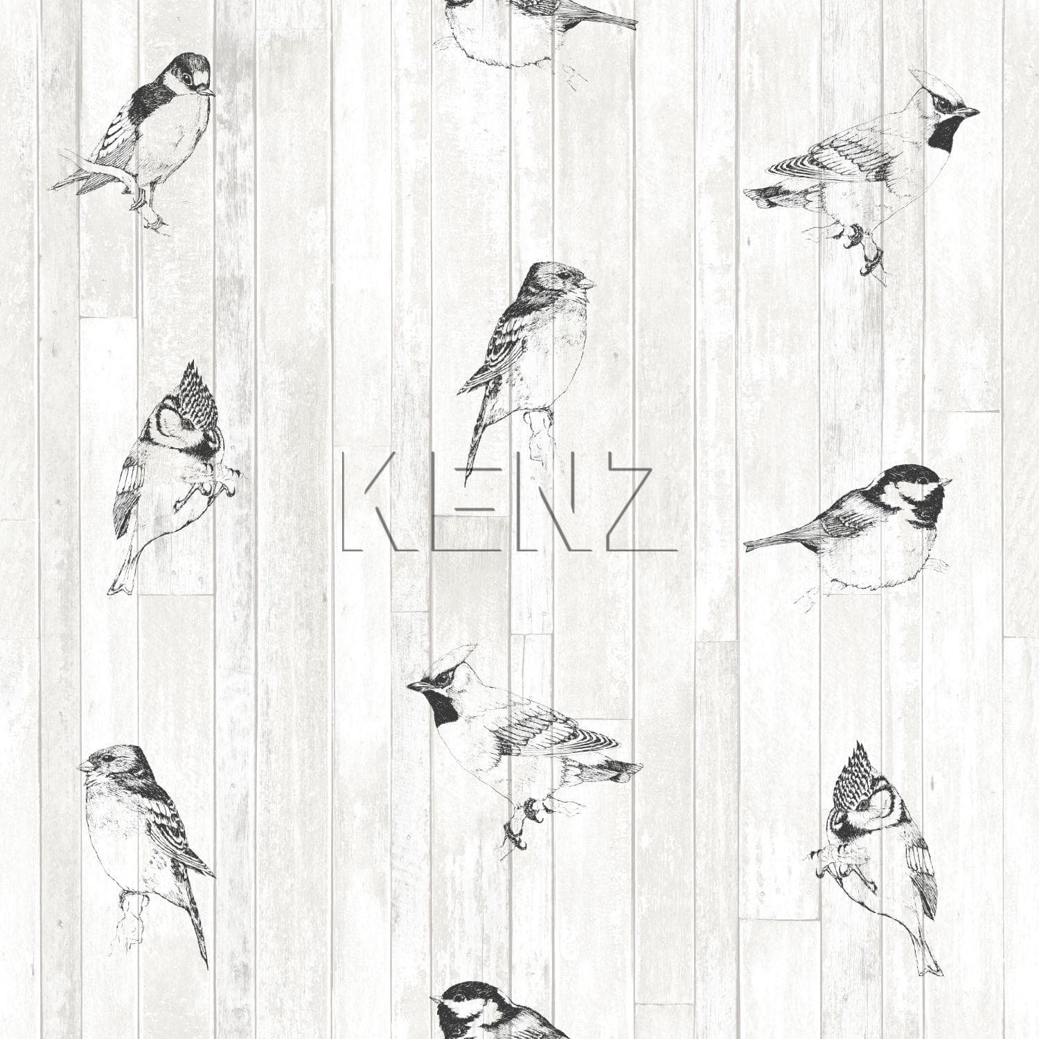 wallpaper pen-drawn birds on scrap wood planks black and matt white 128834