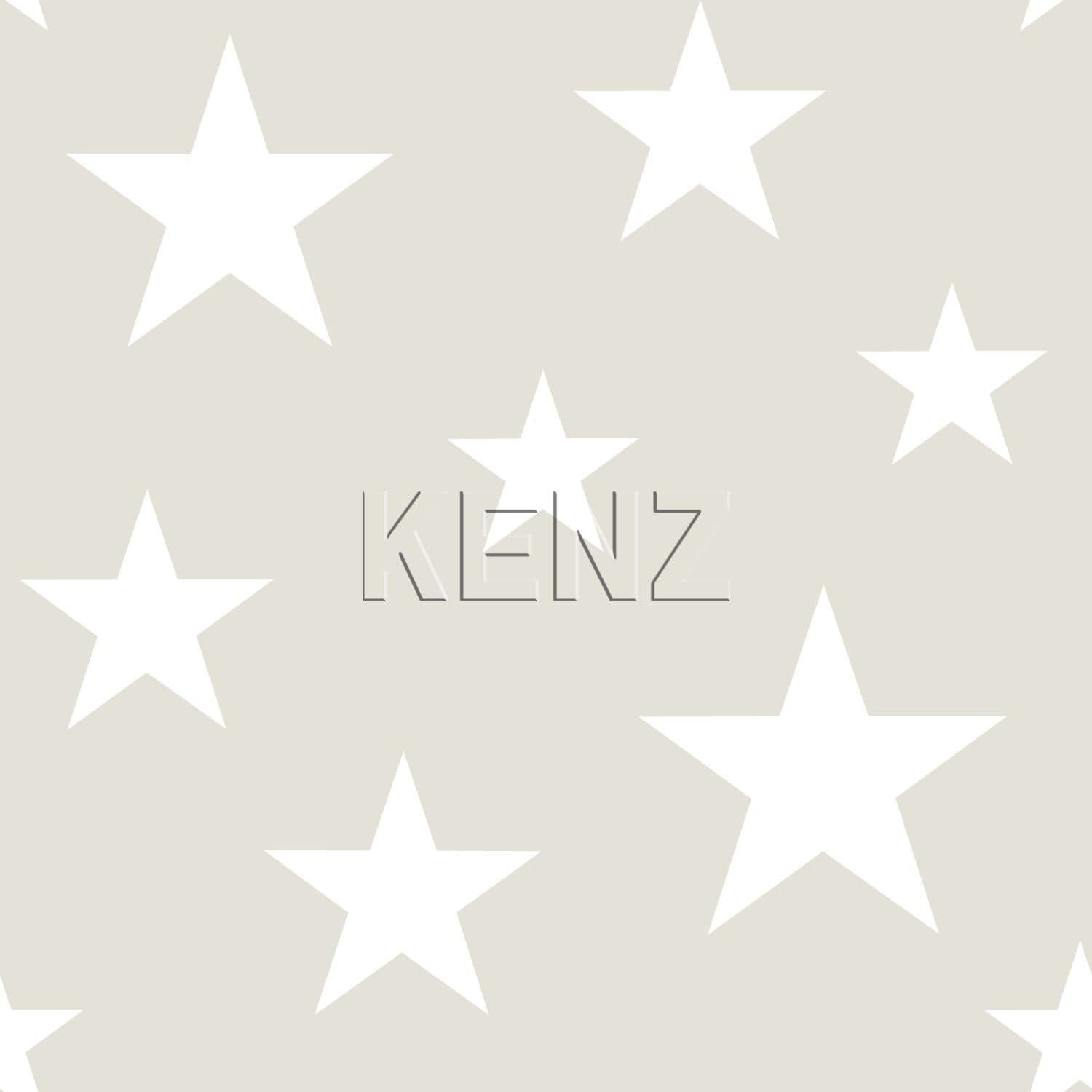 wallpaper big and small stars light gray and white 128866