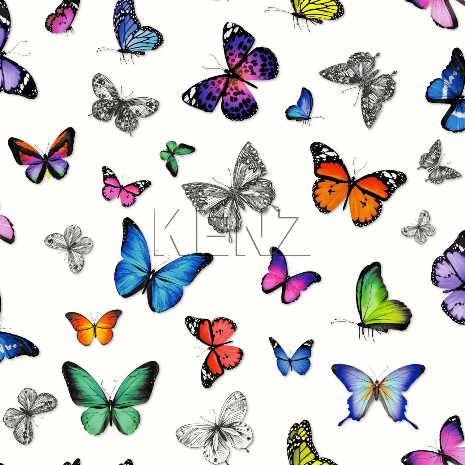 wallpaper butterflies multicolor 138507