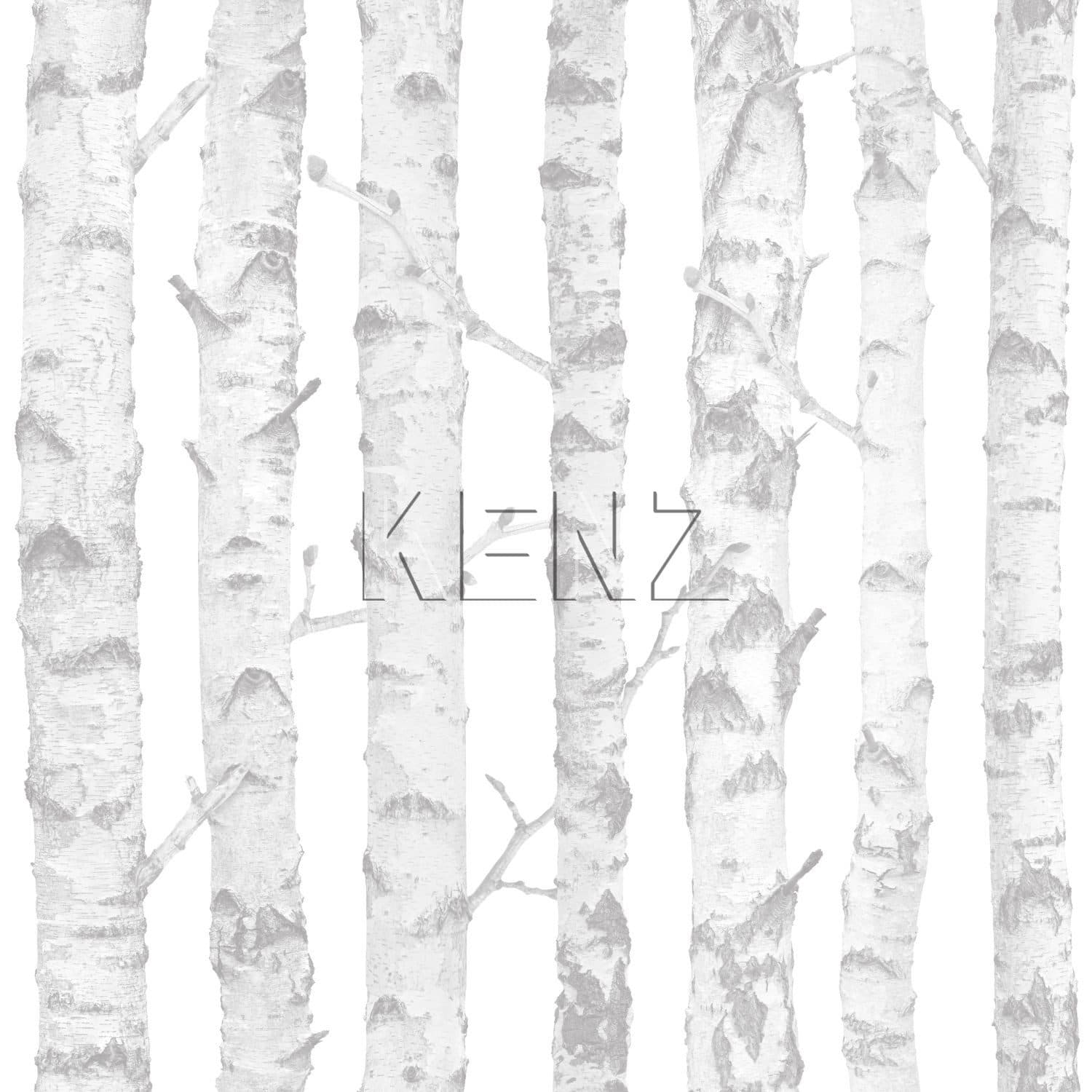 wallpaper birch tree trunks silver and white 138944