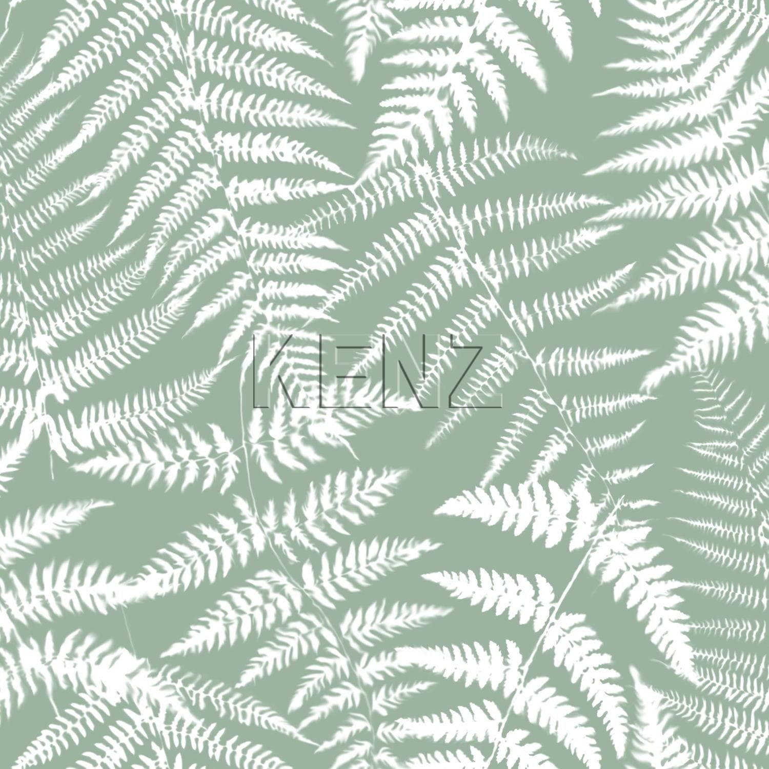 wallpaper fern mint green 138998