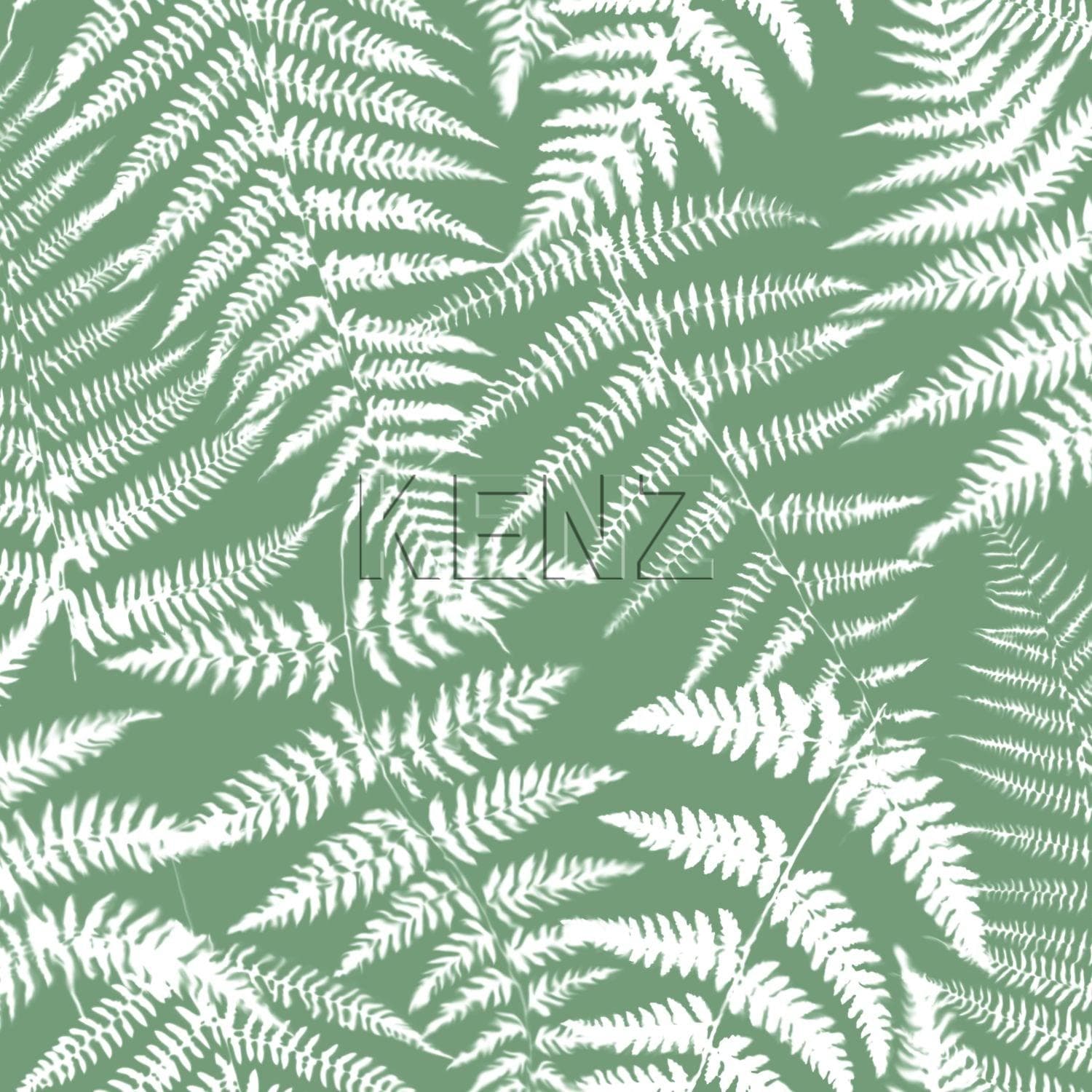 wallpaper fern green 138999