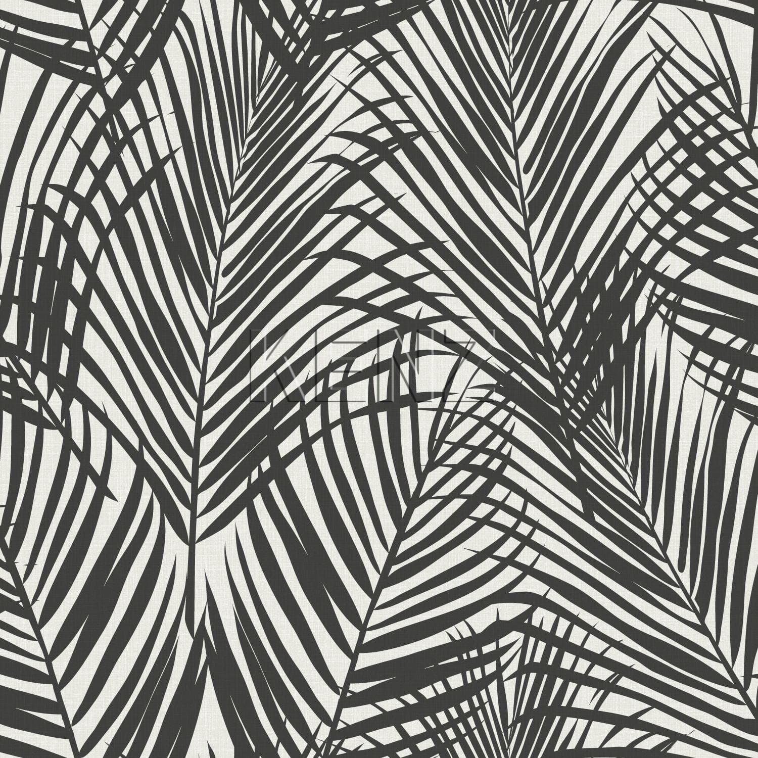 wallpaper palm leaves black and white 139008