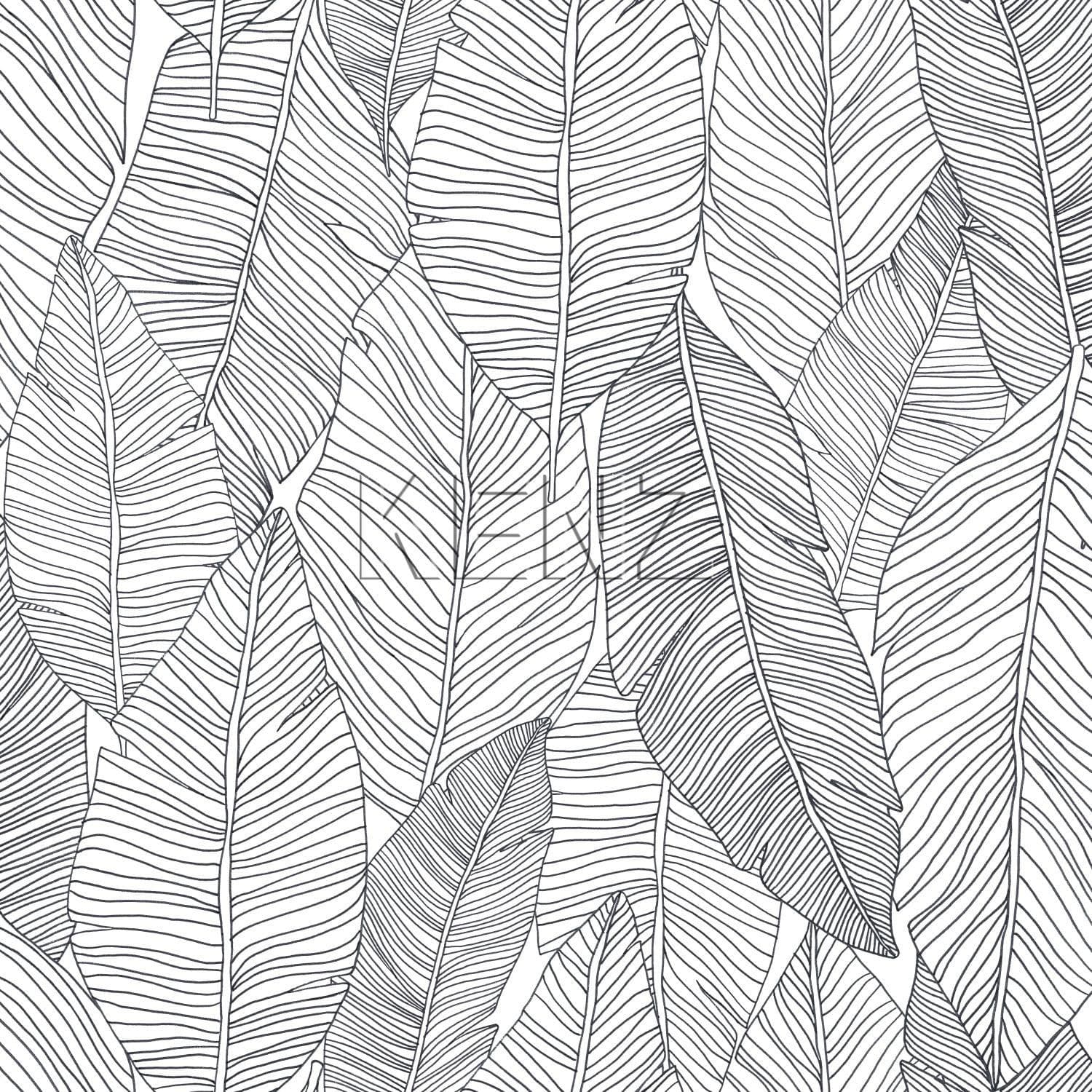 wallpaper drawn leaves black and white 139011