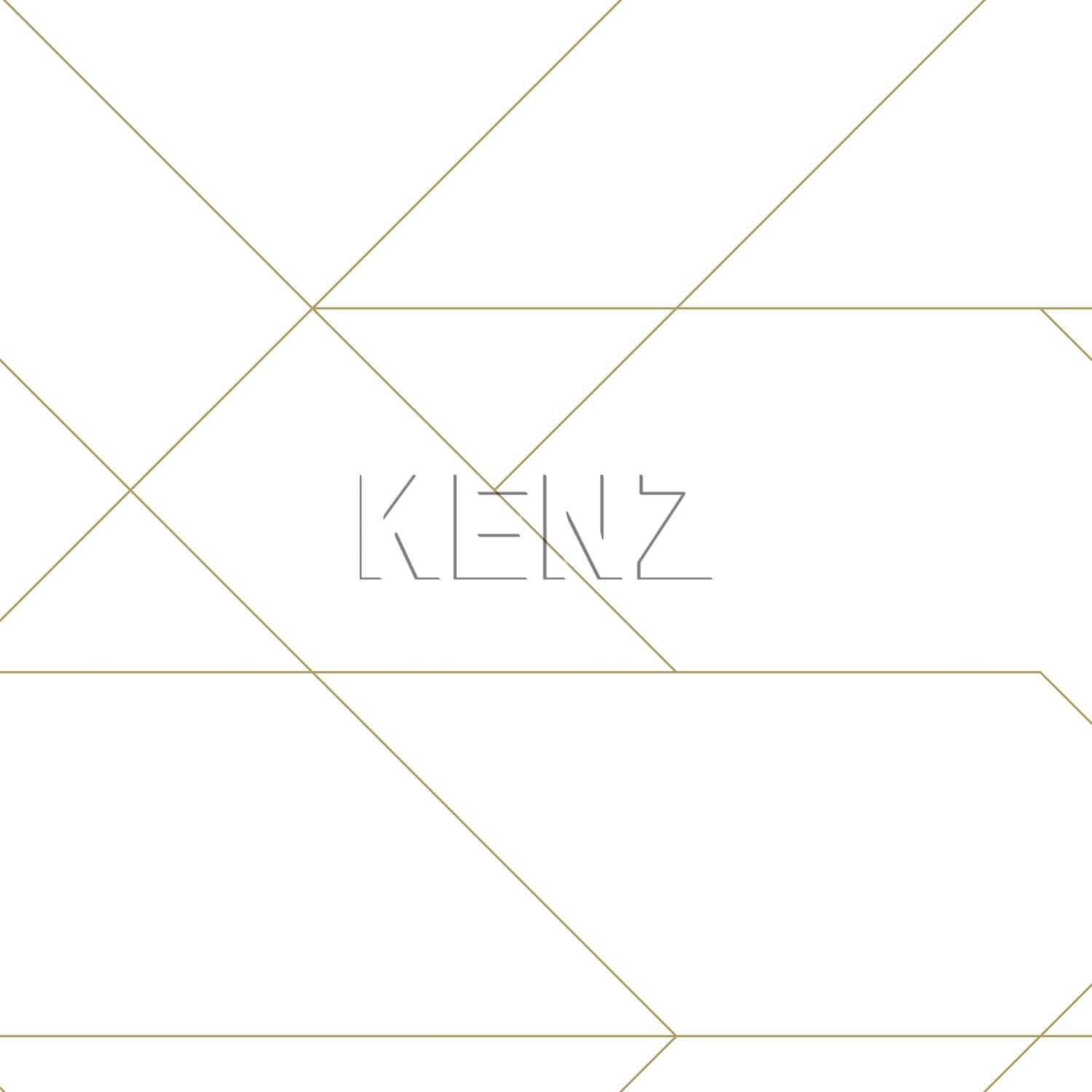 wallpaper graphic lines white and gold 139143
