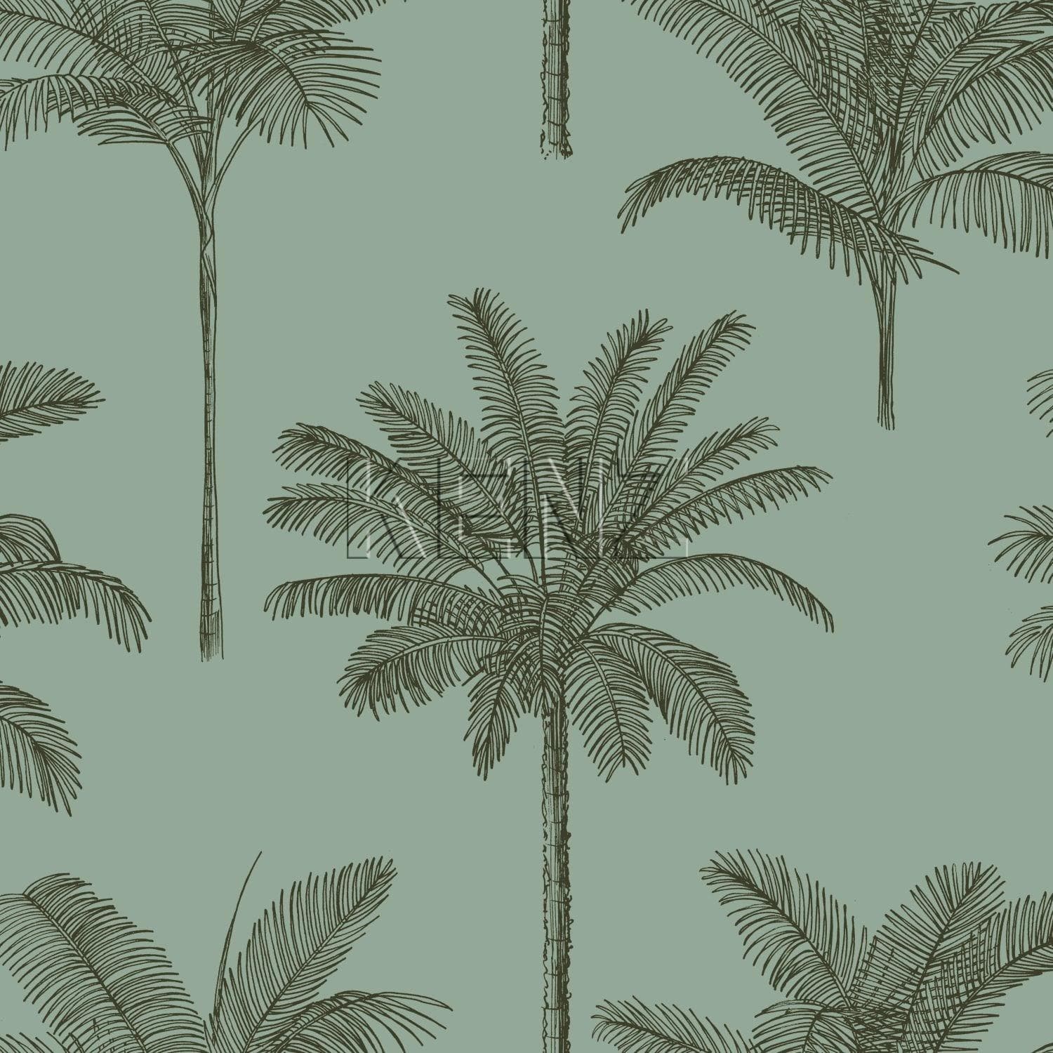 wallpaper palm trees greyish green 139165