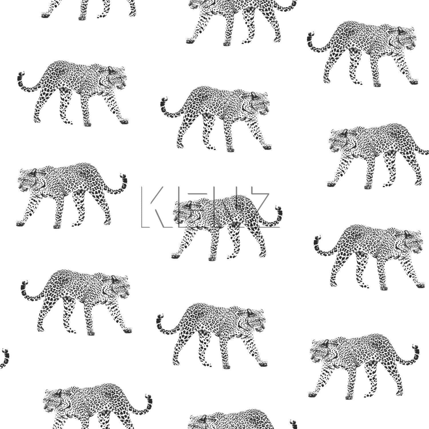 wallpaper panthers black and white 139176
