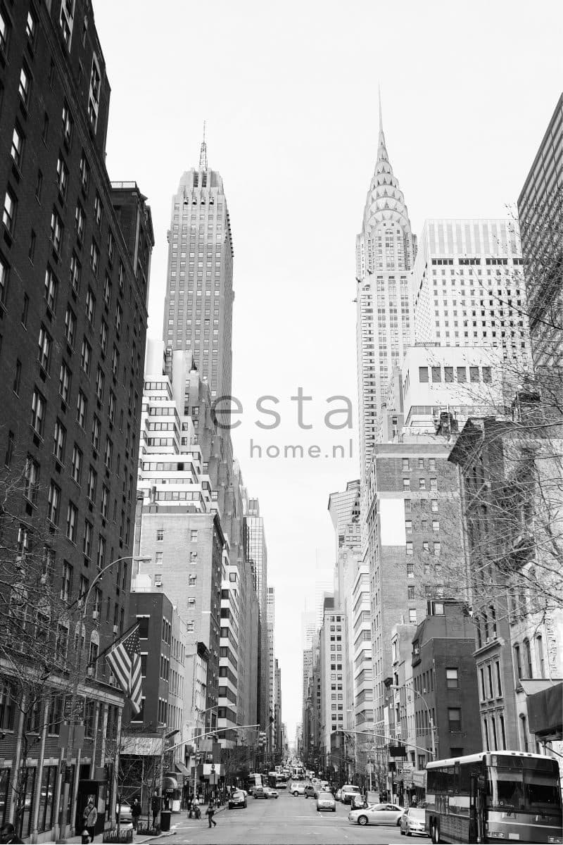wall mural NY street view black and white 157706