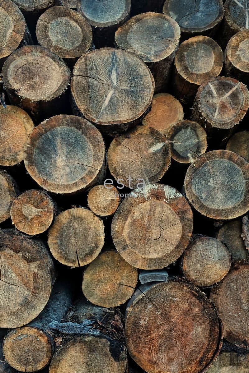 wall mural tree trunks brown 158206