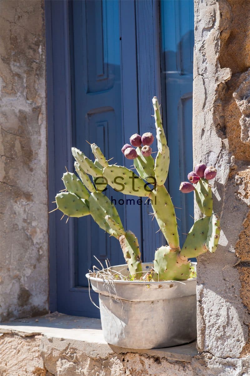 wall mural cactus blue, green and beige 158610