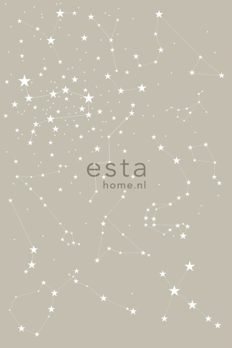 wall mural starry night taupe 158705