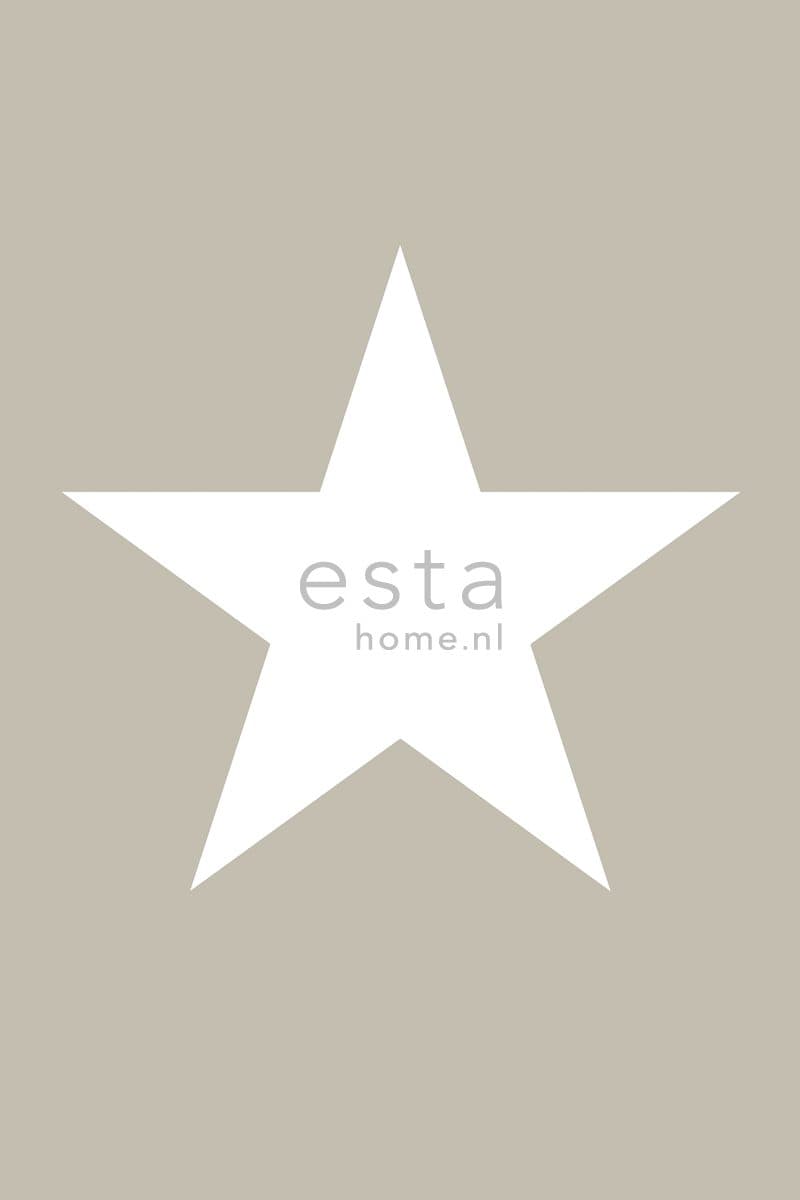 wall mural star taupe 158706