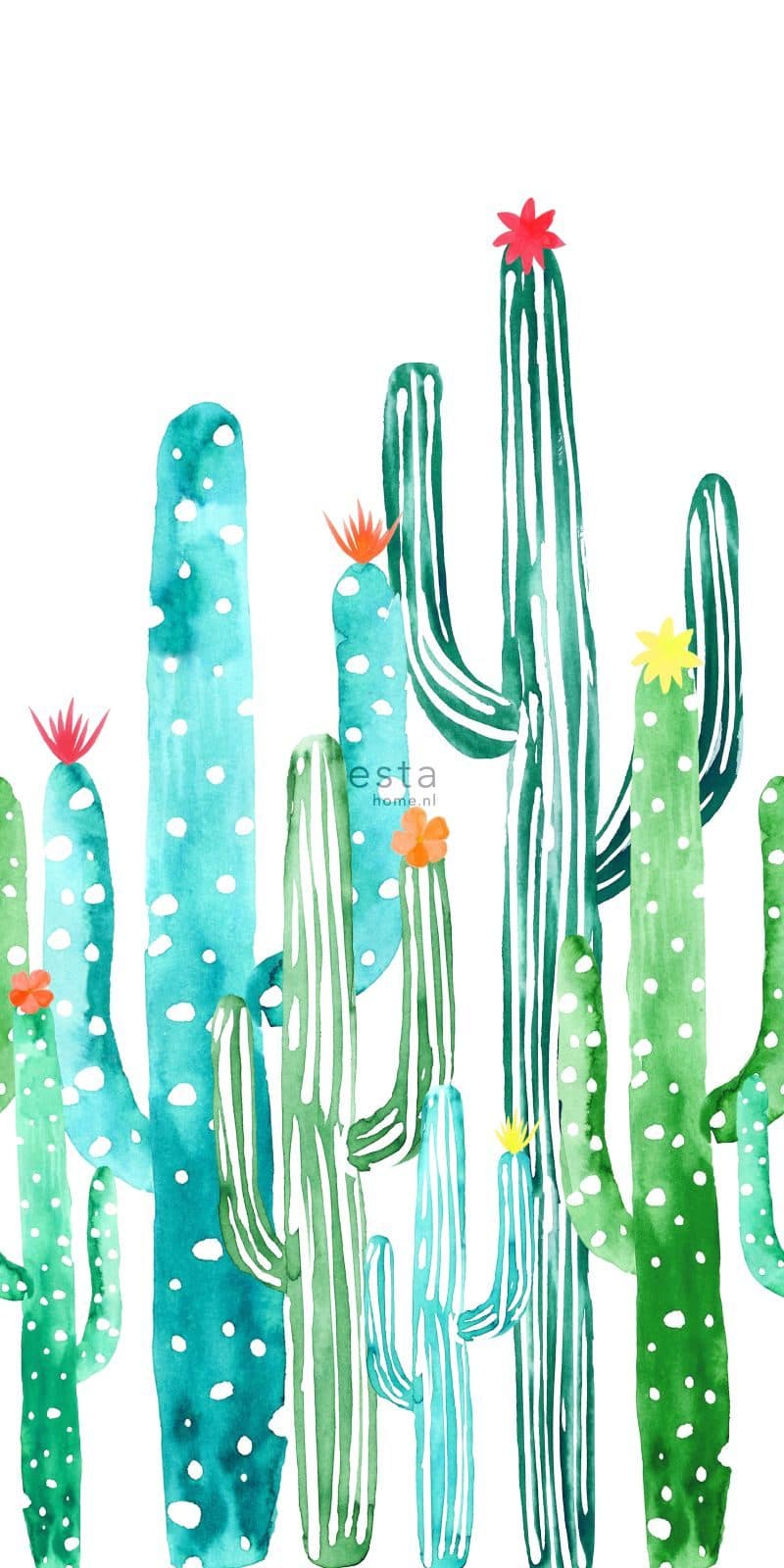 wall mural watercolor painted flowering cacti tropical jungle green and turquoise 158829
