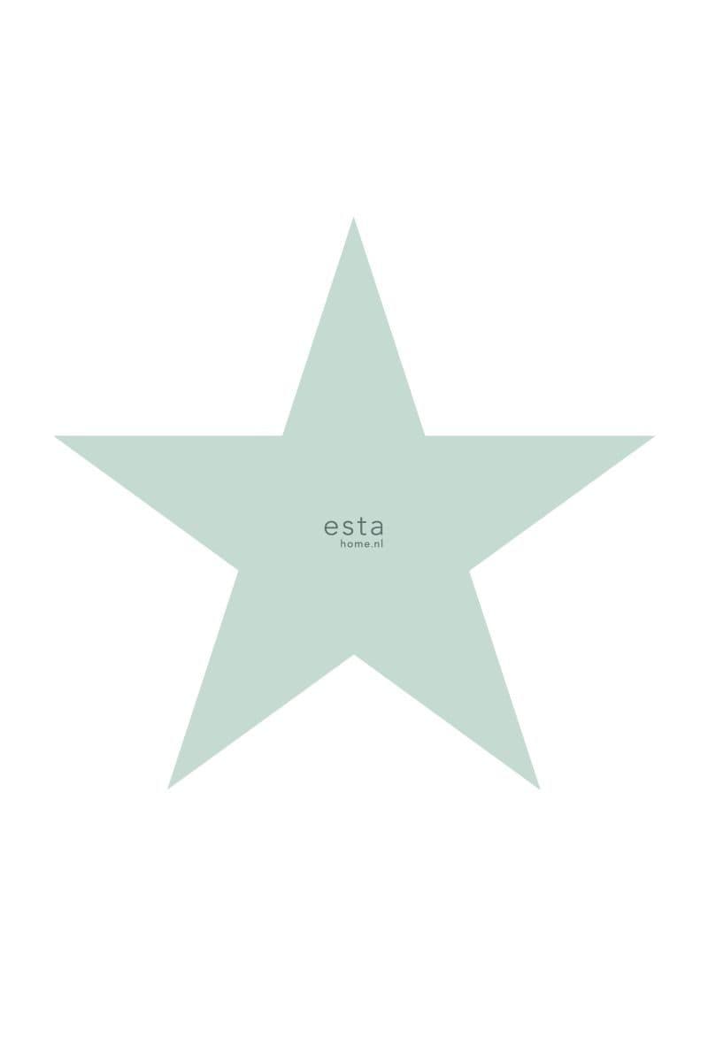 wall mural big star mint green 158841