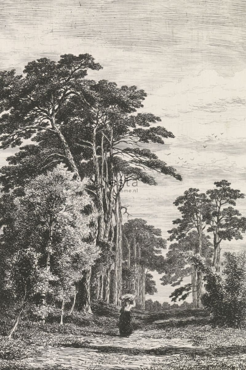 wall mural wooded landscape black and white 158886