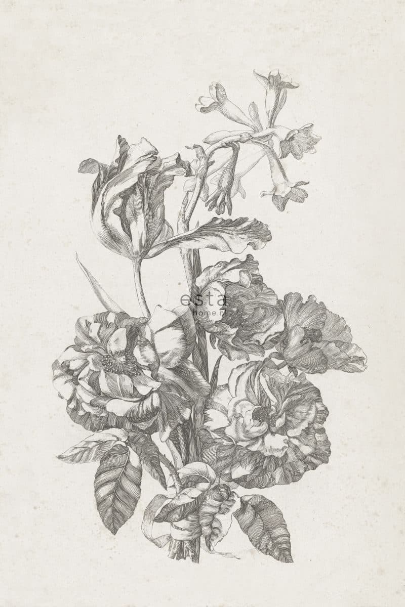 wall mural flower still life black and white 158887