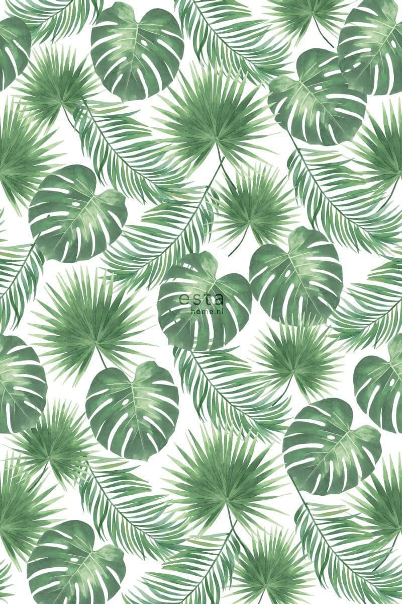 wall mural tropical leaves green 158897