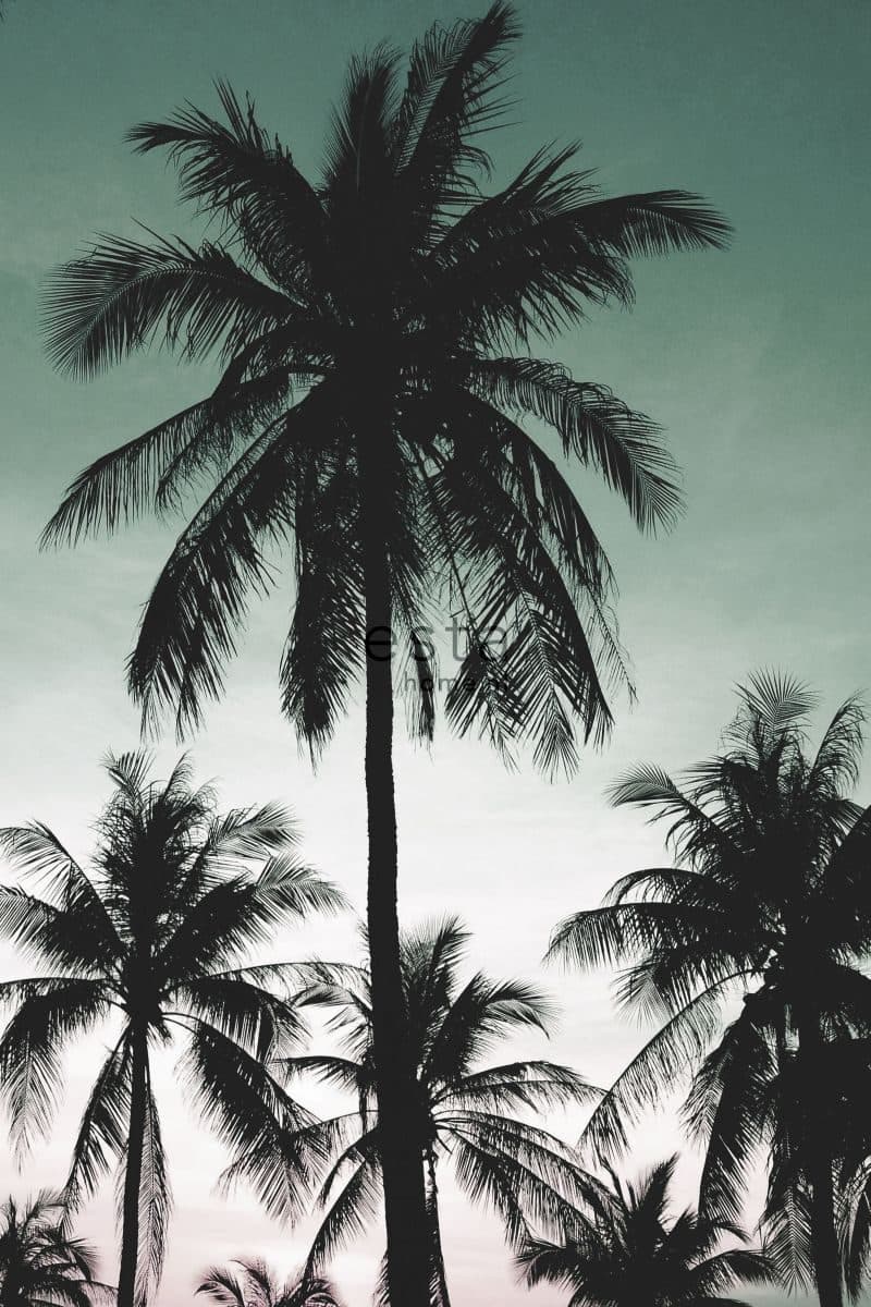wall mural palm trees petrol green 158899
