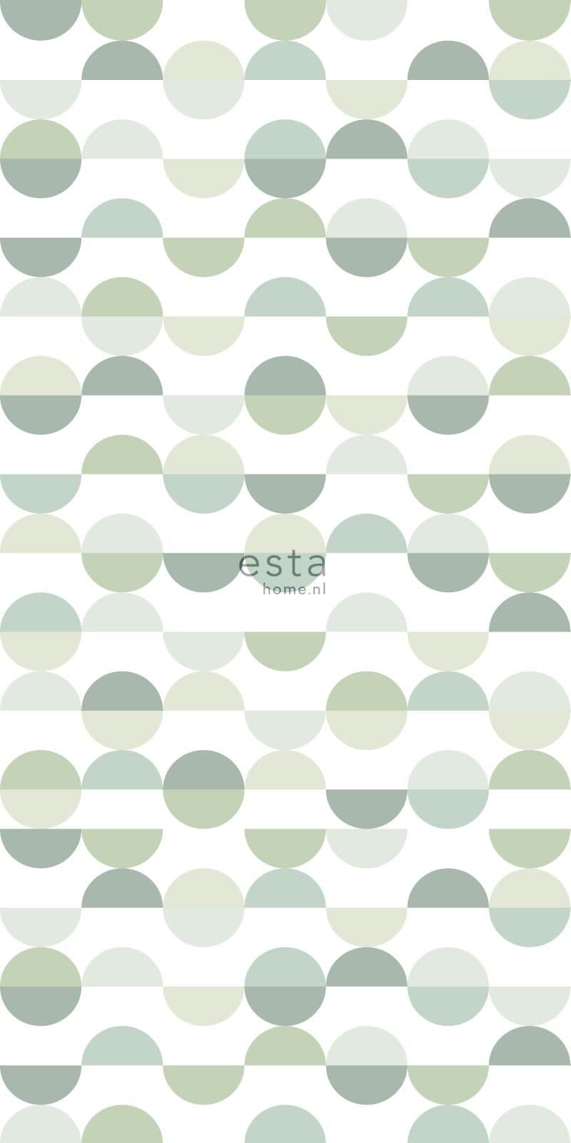 wall mural semicircles in retro style green 158904