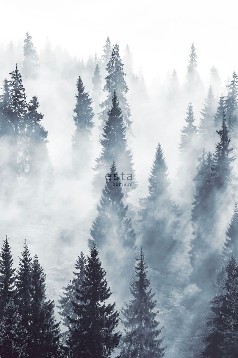 wall mural foggy forest green 158909
