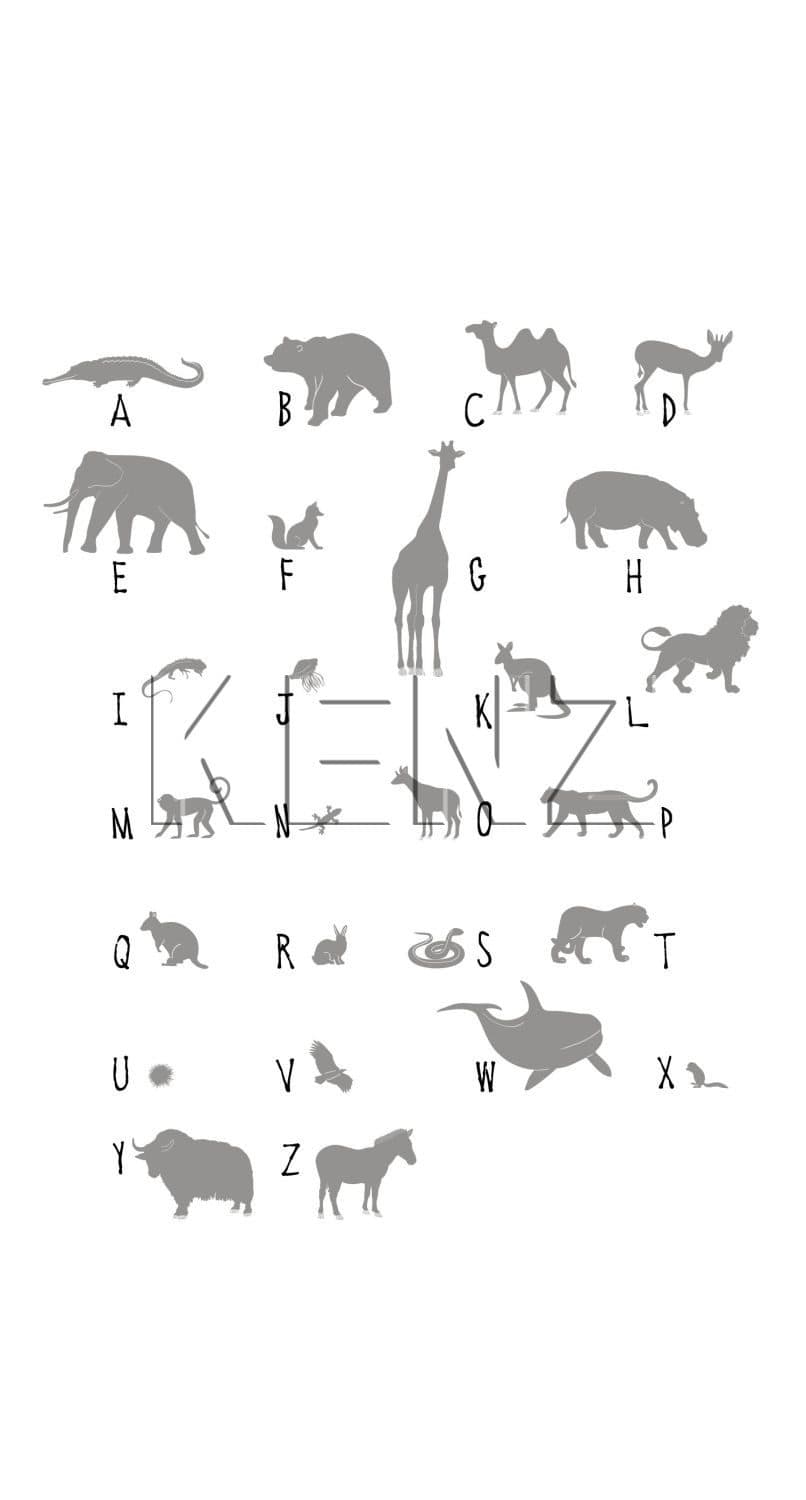 wall mural animals ABC gray 158923
