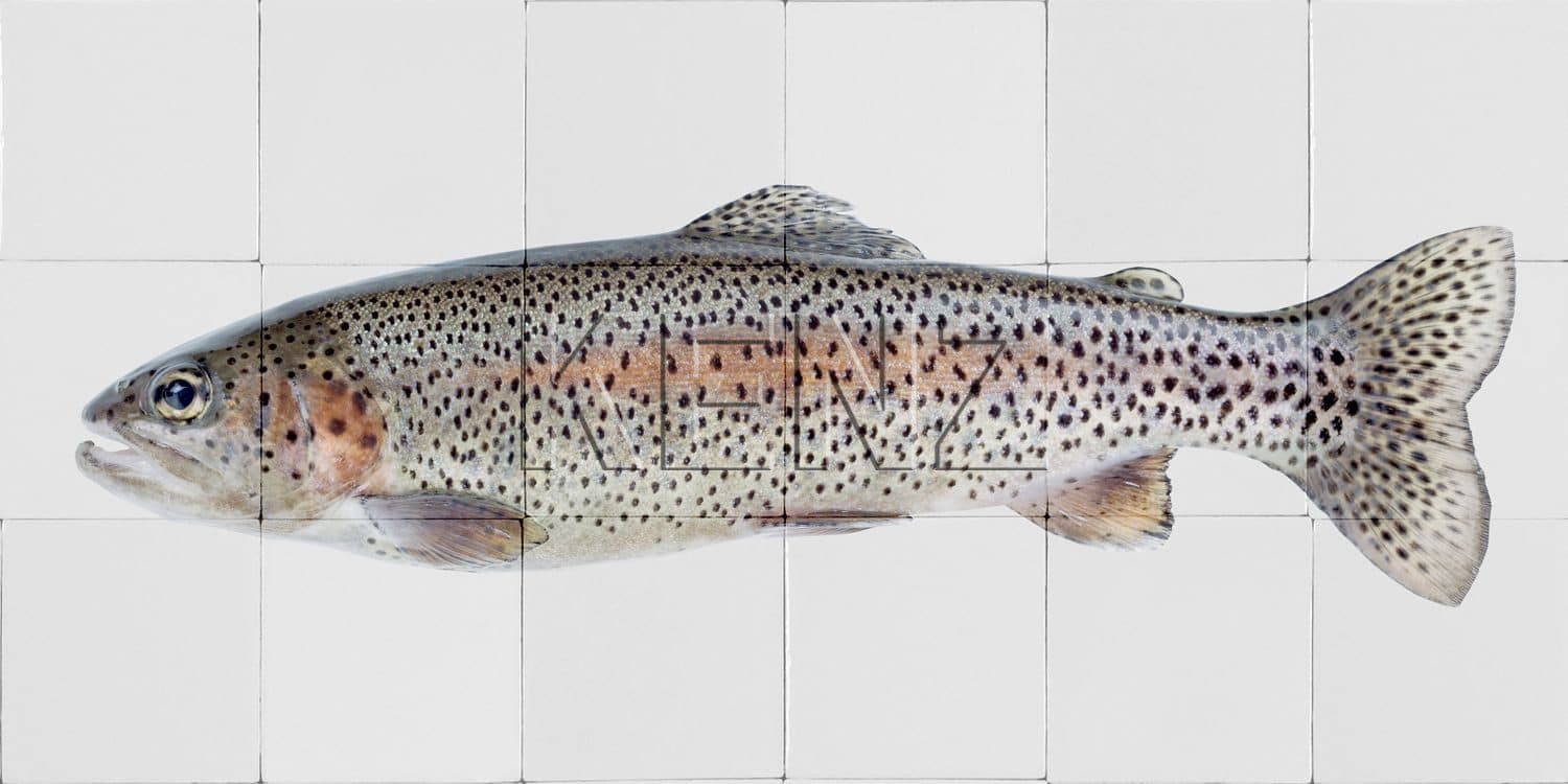 wall sticker fish warm gray and salmon pink 159031