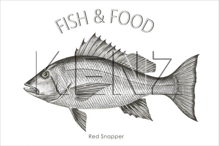 wall sticker fish black 159043