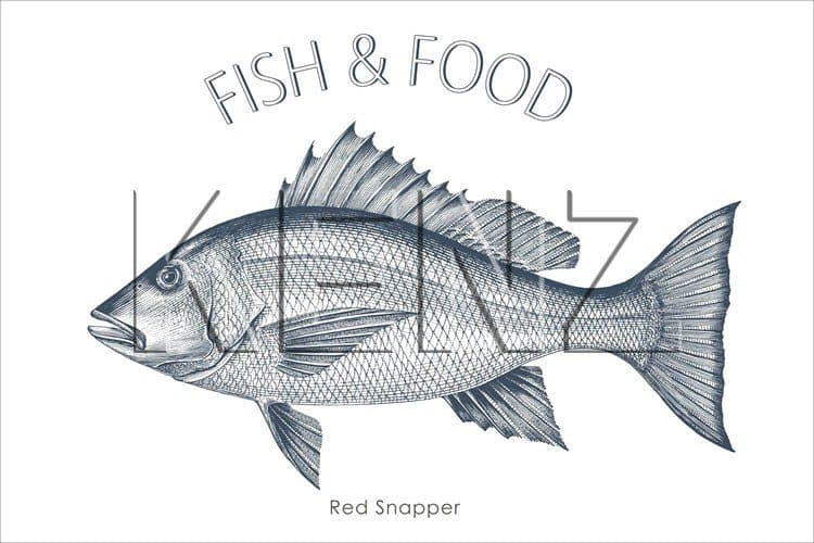 wall sticker fish blue 159044