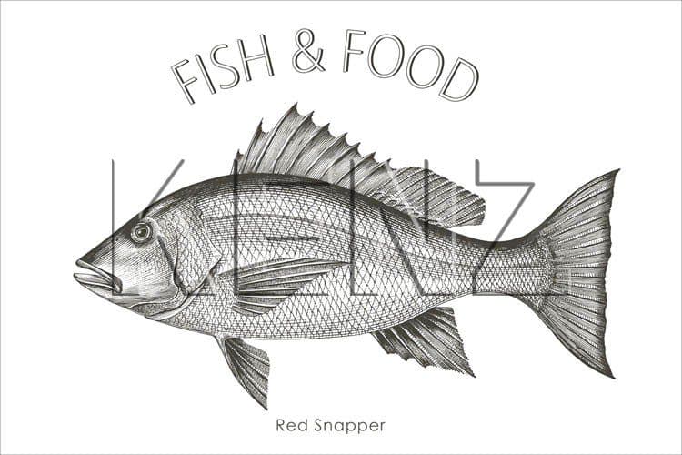 wall sticker fish black 159046