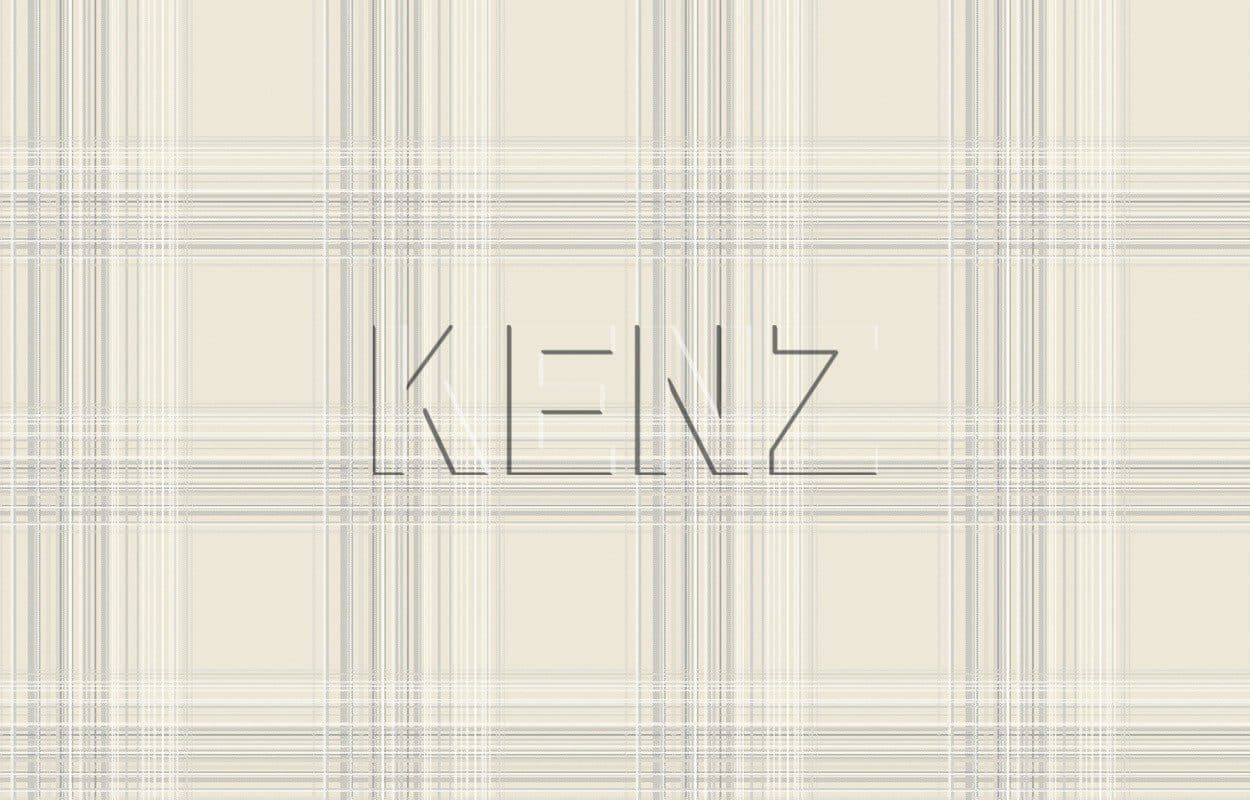 001, Casual 27
