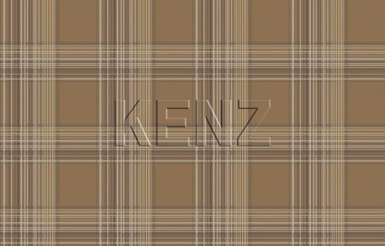 010, Casual 27