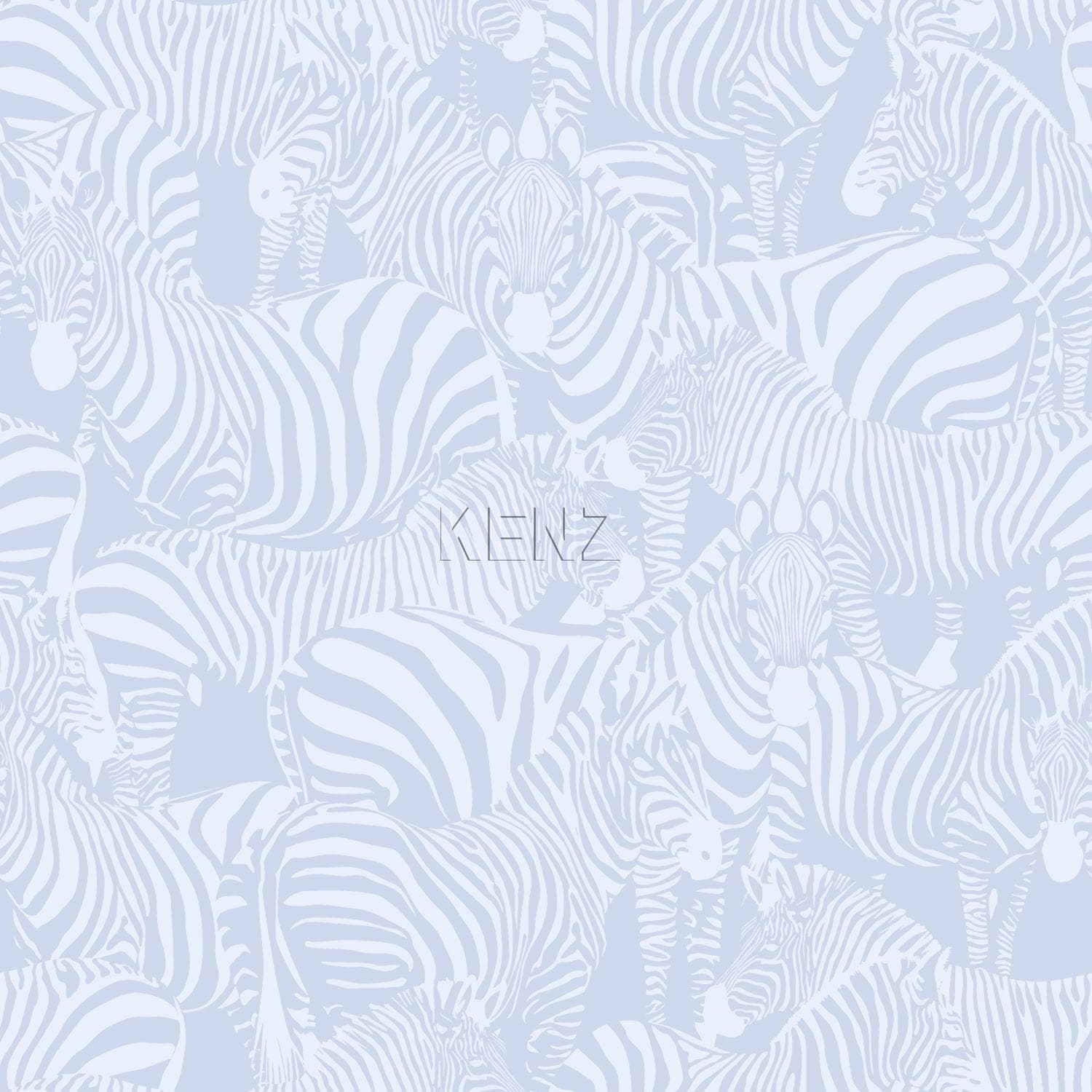 wallpaper zebras light blue 346834