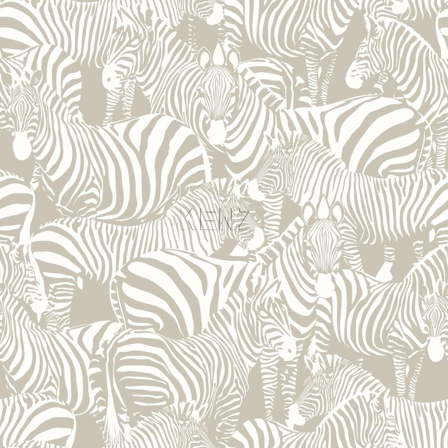 wallpaper zebras gray 346837