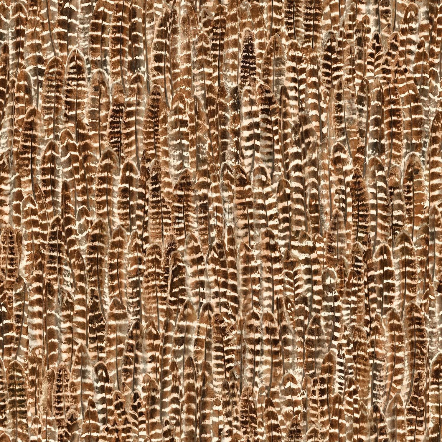 wallpaper feathers rust brown 347395