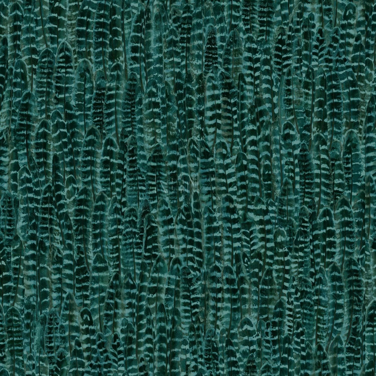 wallpaper feathers emerald green 347399