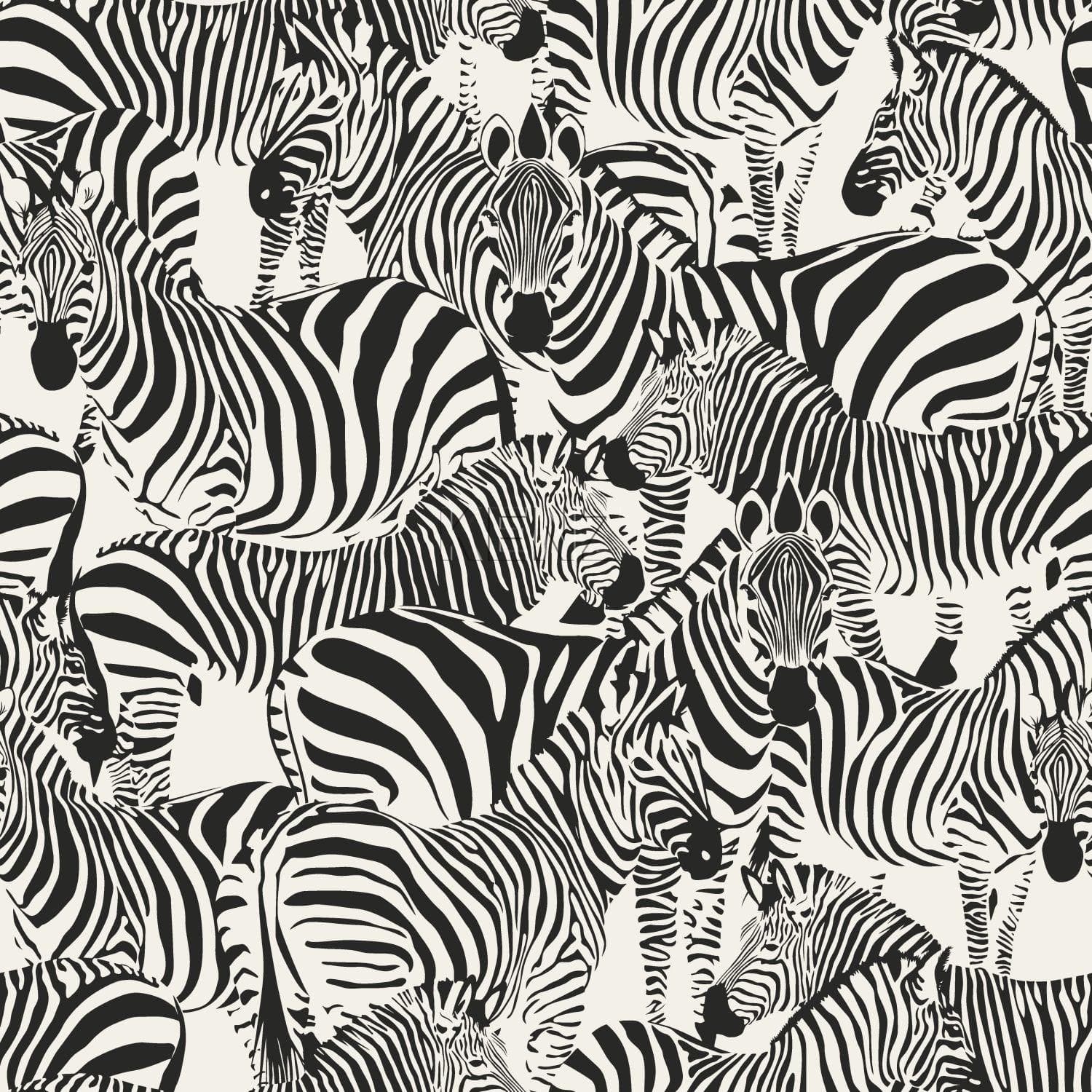 wallpaper zebras black and white 347453