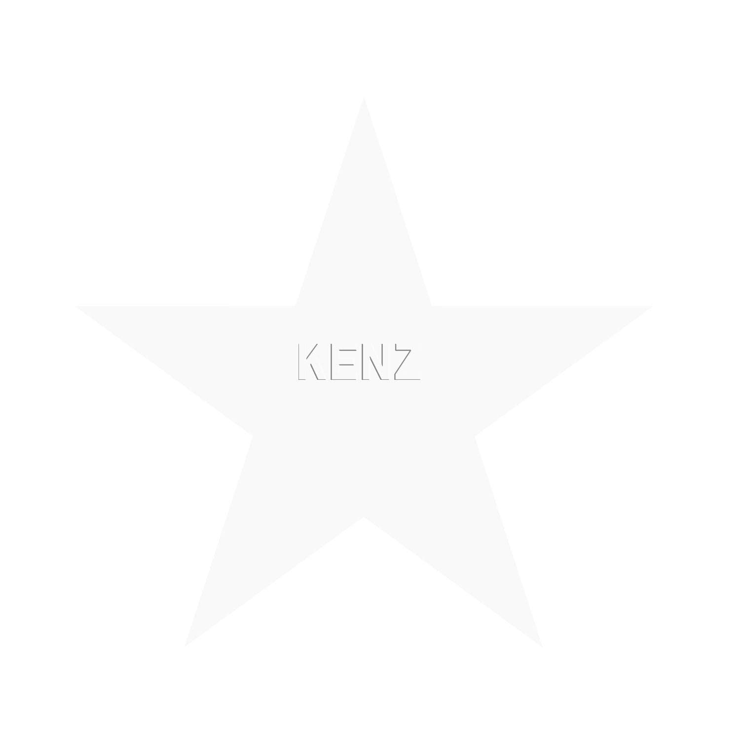 wallpaper big star matt white and shiny silver gray 347503