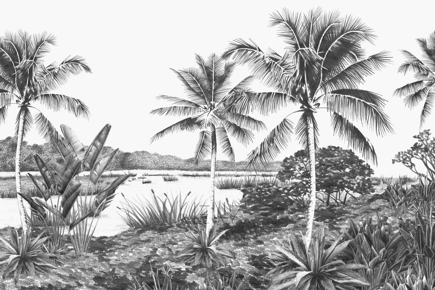 wall mural landscape with palms black and white 357224