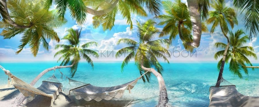 Hammocks On Palms