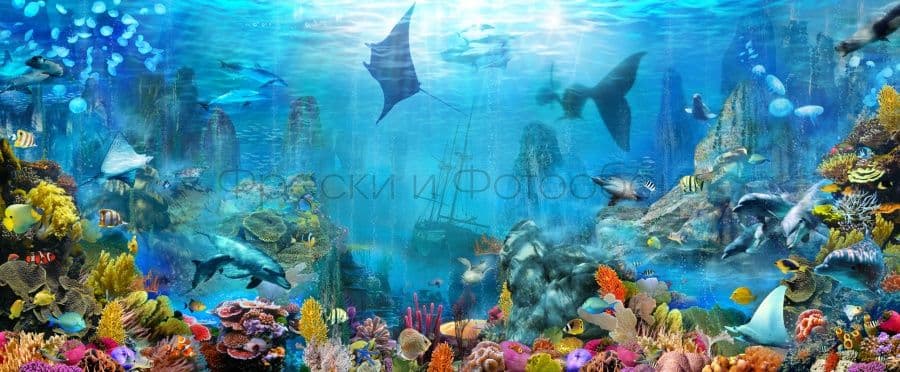 Underwater Panorama
