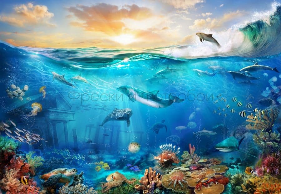 Pack Of Dolphins