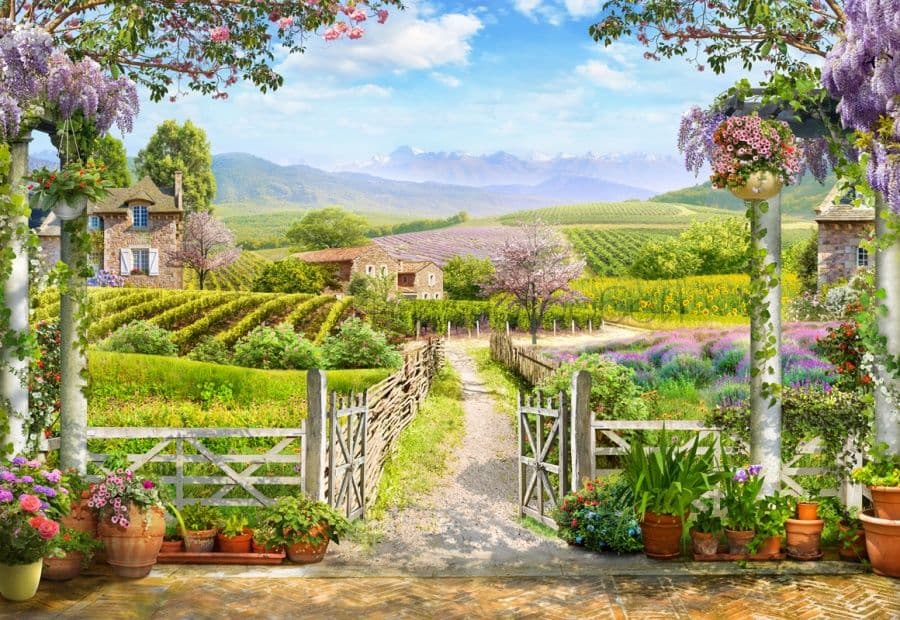 French Village