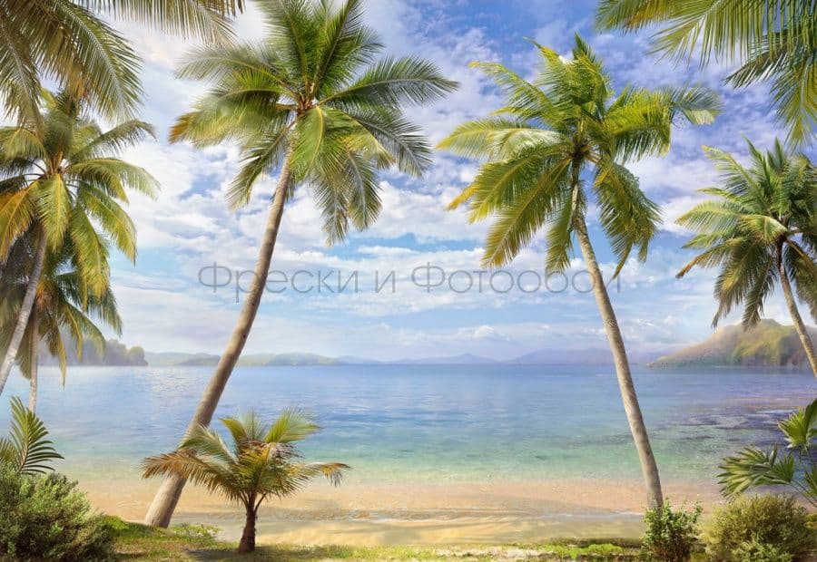 Beach With Palms