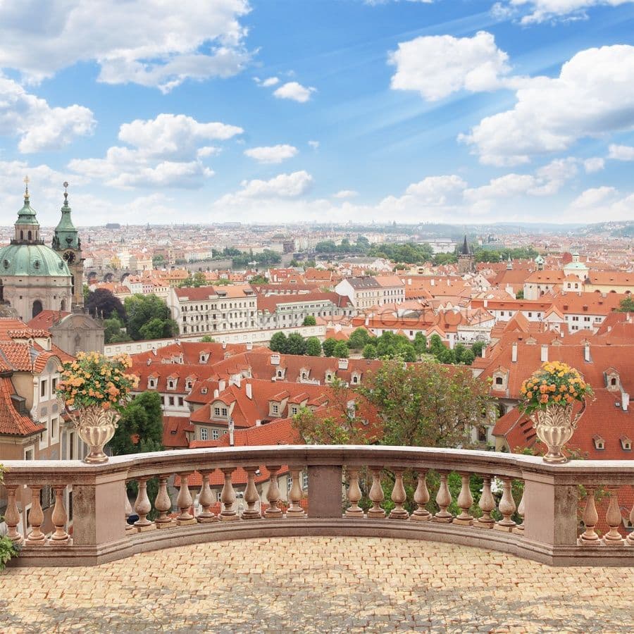 View At Roofs