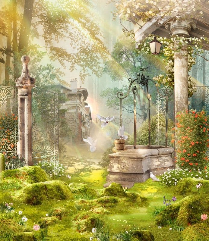 Garden In The Morning