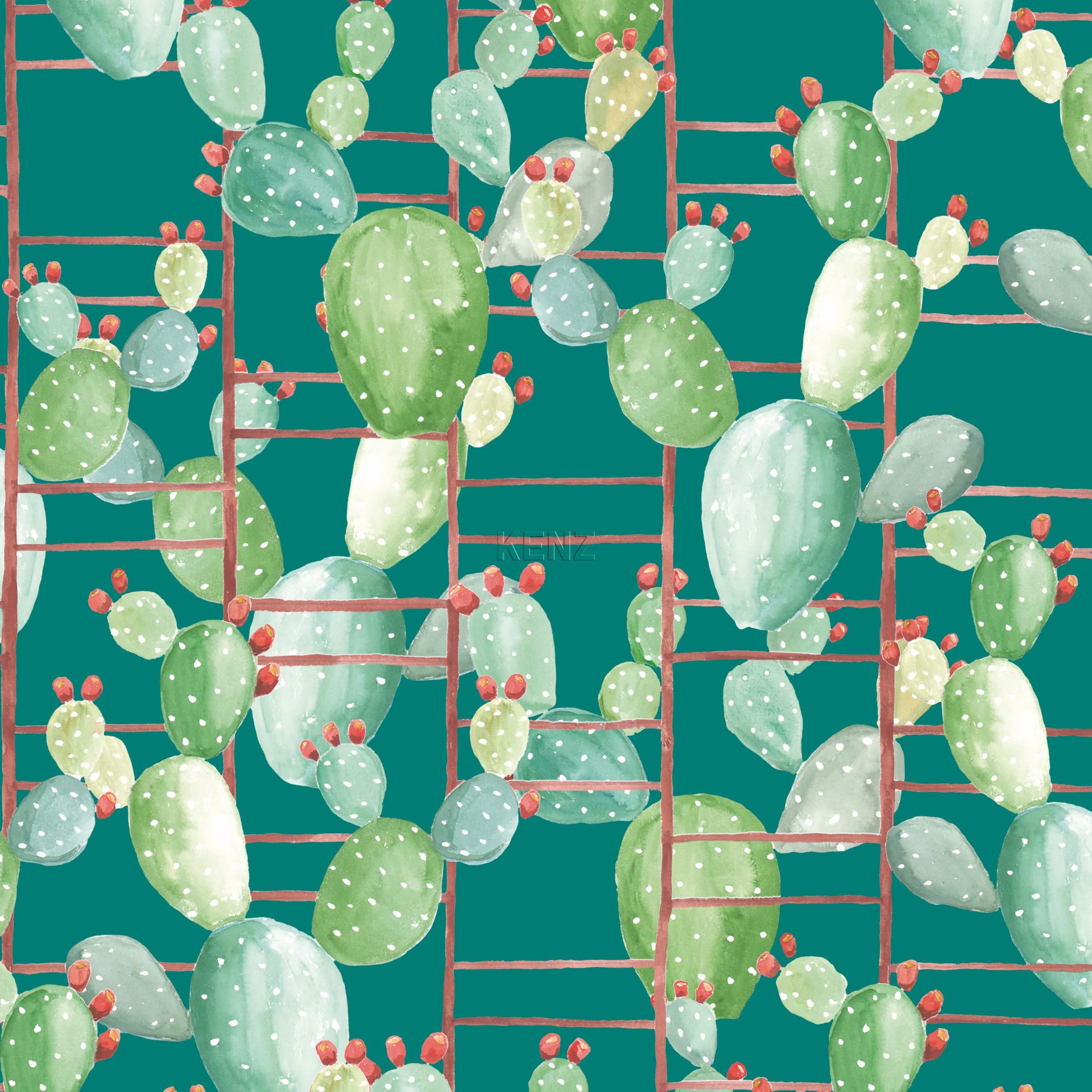 Chumbera - 5900025