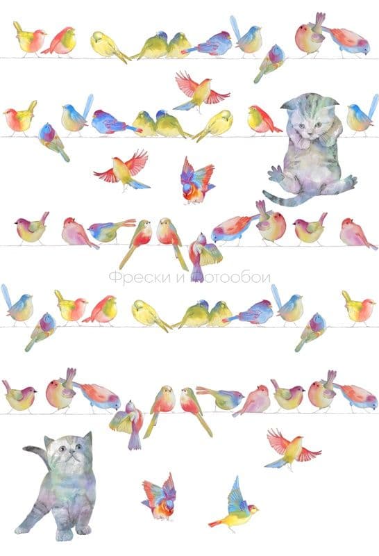 Birds And Kittens