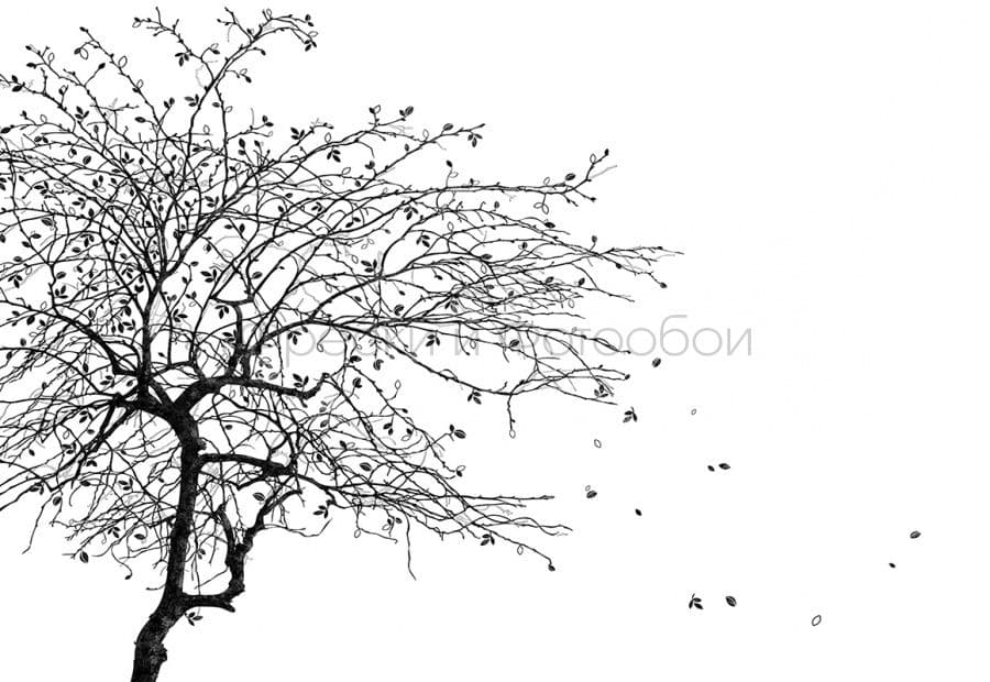 Falling Leaves