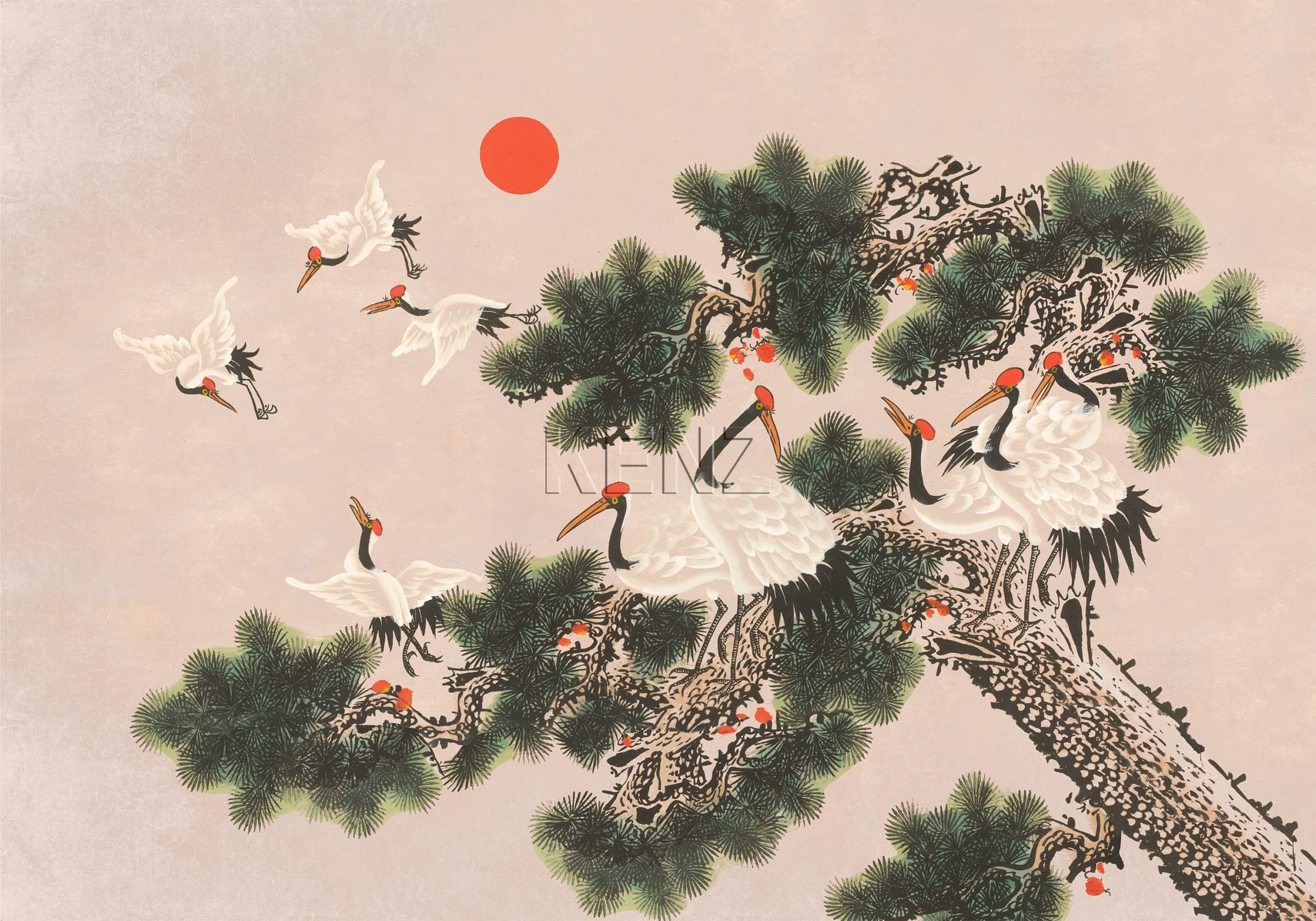 Ukiyo Rose