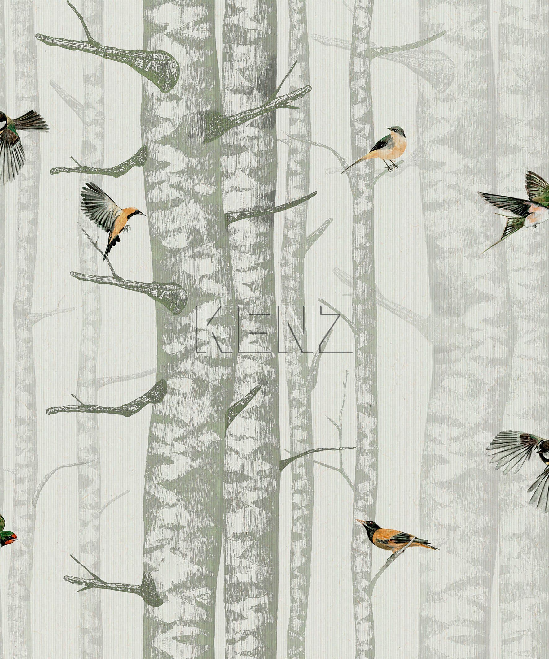 Birch Trees Silvester